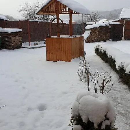 Ursu Dim Str Mihai Viteazul 434 Vulcan (Brasov)